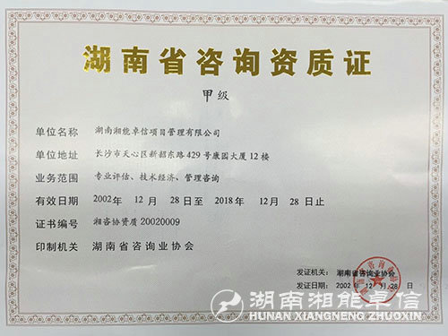 项目管理咨询业协会甲级资质证书正本